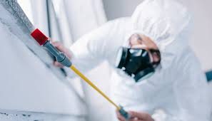 Professional Pest control in Ashland, OR